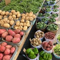  at Apple Valley Farmers Market in Apple Valley