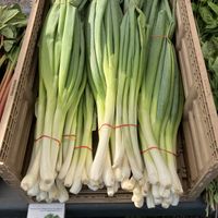 Huge scallions! at Apple Valley Farmers Market in Apple Valley