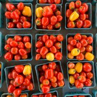  at Apple Valley Farmers Market in Apple Valley