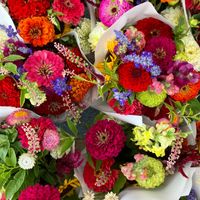  at Apple Valley Farmers Market in Apple Valley