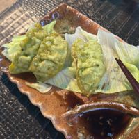 Vegan Dumplings at Tokyo Bay in Salzburg