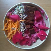 The filling multicolour cashew cheese pasta dish.  at Planty in Belgrade