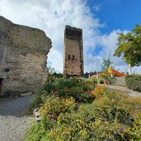  at Burg Metternich in Beilstein