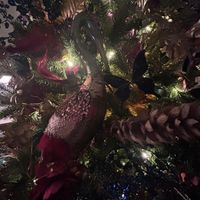   at Fiera in Antwerpen