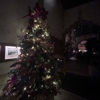   at Fiera in Antwerpen