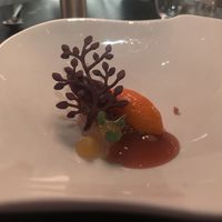   at Fiera in Antwerpen