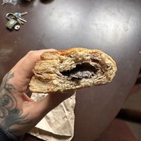   at El Verdadero Pan Integral in Bogota