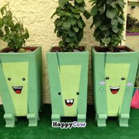 plantitas felices at Caballete & Berenjena in Magdalena
