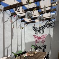 Outdoor party space. Also outdoor seating in the front    at Casa Monarca in San Carlos