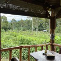 Restaurant view  at Sumatra Orangutan Discovery Villa in Langkat