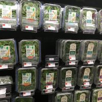 Salads in Whole Foods. at Whole Foods Market - Columbus Circle in New York City