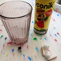 Kombucha at Picnic in Antibes