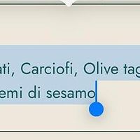 Pizza vegana on menu at PizzaYolo in Ancignano