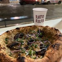   at Rato Rosa in Sao Paulo