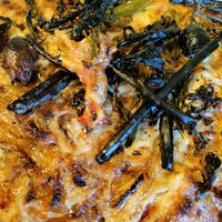 Terrible photo! We burned this a bit when heating it up but it was so amazing I had to include a picture! So much daiya cheese! at Snapdragon - West Seattle in Seattle