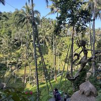 View from restaurant😍  at Cretya Jungle in Gianyar