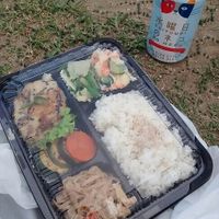 Bento with veggie patty at Earth Kitchen in Kyoto