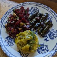 Vegan mezze at Hatice Anne Ev Yemekleri in Istanbul