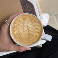   at Buckle Tip Coffee Studio in Boquete