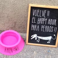 This place is adorable! at Rayen Vegano in Madrid