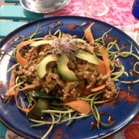 seitan in mustard sauce at Rayen Vegano in Madrid