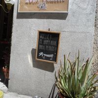 dogs are happy at Rayen Vegano in Madrid