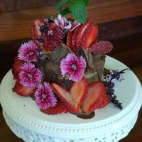 Yummo at Gold Coast Insight Retreats in Tallebudgera