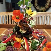 Delicious stack at Gold Coast Insight Retreats in Tallebudgera