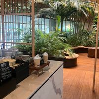 Tropisch groen  at Café Jakarta in Amsterdam