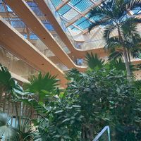 🌿  at Café Jakarta in Amsterdam