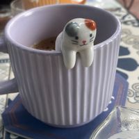   at The Healing Kitchen in Cat Ba