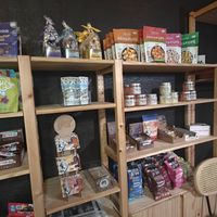 Shop at A Lo Vegano Orlando in Orlando
