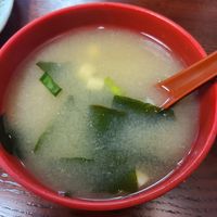 Miso is vegan!!! at Osaka Sushi and Ramen in Albany