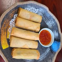 Spring rolls at Osaka Sushi and Ramen in Albany