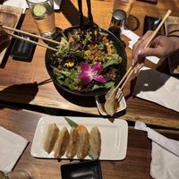 Roasted beets salad and pot stickers   at Tane Vegan Izakaya in Palo Alto