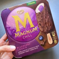 Found vegan ice-cream in La Sirena at La Sirena in Premia De Mar