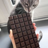 Vegan chocolate without wrapper at Ametller Origen in Premia De Mar