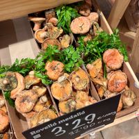 Seasonal Catalan mushrooms at Ametller Origen in Premia De Mar