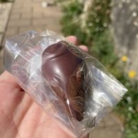 Chocolate mouse - so cute!  at Tempt in Totnes