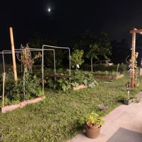 Garden at Eatvolve in Bedizzole