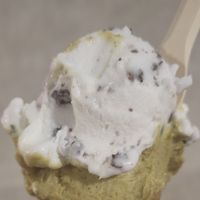 Stracciatella al cocco et pistacchio at Gelateria Lapecoranera in Brescia