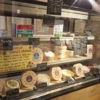vegan cheese, butter, and yogurt case at CHOICE in Kyoto