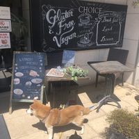 Puppies outside!  at CHOICE in Kyoto