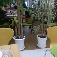 The divide between good and bland lunches  at CHOICE in Kyoto