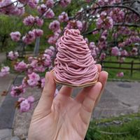 Strawberry Mont Blanc at CHOICE in Kyoto