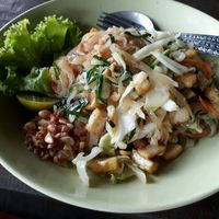 Pad Thai at Happy Green in Chiang Mai