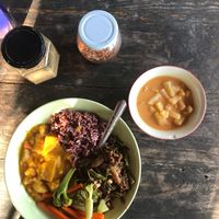 Different curries, veggies, rice and a mushroom tofu stir fry at Happy Green in Chiang Mai