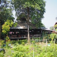 View from the garden  at Happy Green in Chiang Mai