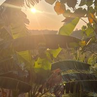  at Vegan Soul Cafe in Penida Island