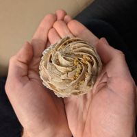 Apple Butter Cupcake at The Flying Cupcake in Carmel